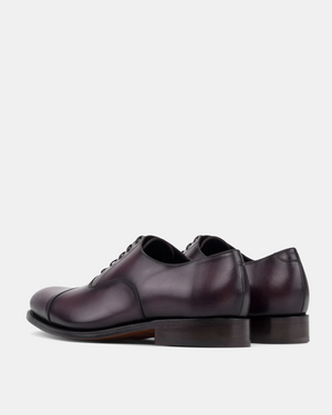Ashford Oxblood Cap Toe Oxford - 675