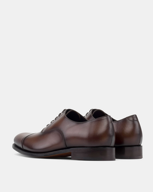 Ashford Brown Cap Toe Oxford - 675