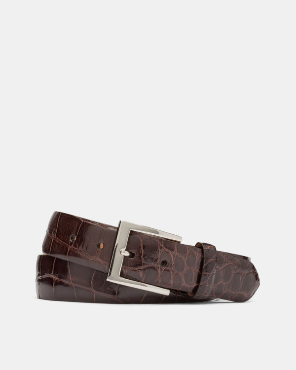 Belvedere Alligator Belt Chocolate 2008 main image 1