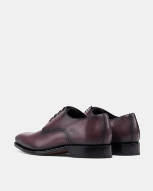 Marco Oxblood Derby Shoe - 722