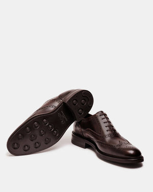 Winston uR - Museum Brown - 312 - Dainite